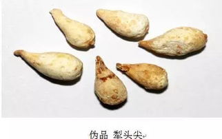 如何辨別中藥飲片質量 從外觀到內涵的鑒別指南
