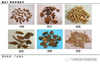 源和藥業（833379） 新渠道拓展與新產品布局，中藥飲片業務增長可期